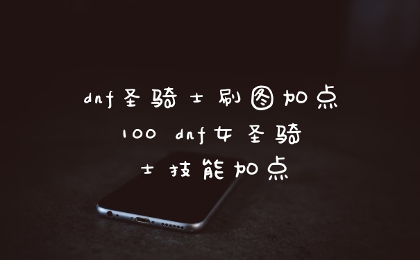 dnf圣骑士刷图加点100 dnf女圣骑士技能加点