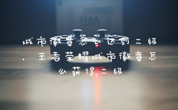 城市徽章怎么达到二级，王者荣耀城市徽章怎么获得二级