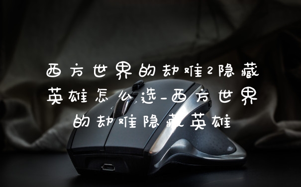 西方世界的劫难2隐藏英雄怎么选_西方世界的劫难隐藏英雄