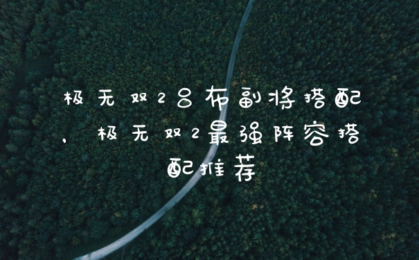 极无双2吕布副将搭配，极无双2最强阵容搭配推荐