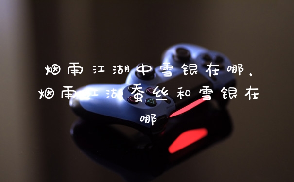 烟雨江湖中雪银在哪，烟雨江湖蚕丝和雪银在哪