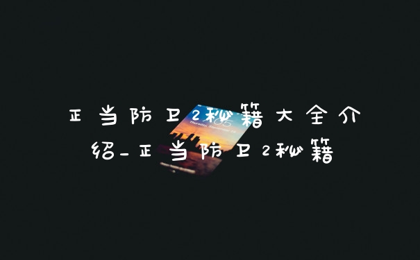 正当防卫2秘籍大全介绍_正当防卫2秘籍