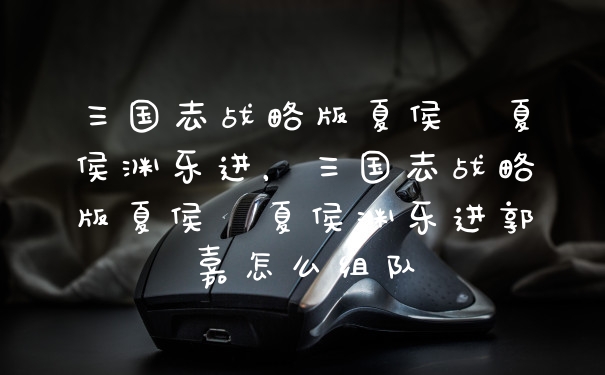三国志战略版夏侯惇夏侯渊乐进，三国志战略版夏侯惇夏侯渊乐进郭嘉怎么组队