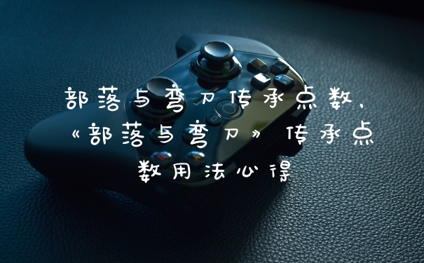 部落与弯刀传承点数,《部落与弯刀》传承点数用法心得