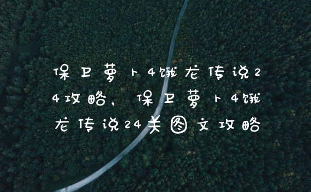 保卫萝卜4饿龙传说24攻略,保卫萝卜4饿龙传说24关图文攻略