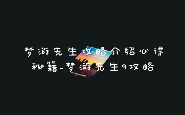 梦游先生攻略介绍心得秘籍_梦游先生9攻略