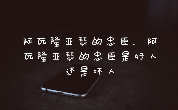 阿瓦隆亚瑟的忠臣，阿瓦隆亚瑟的忠臣是好人还是坏人
