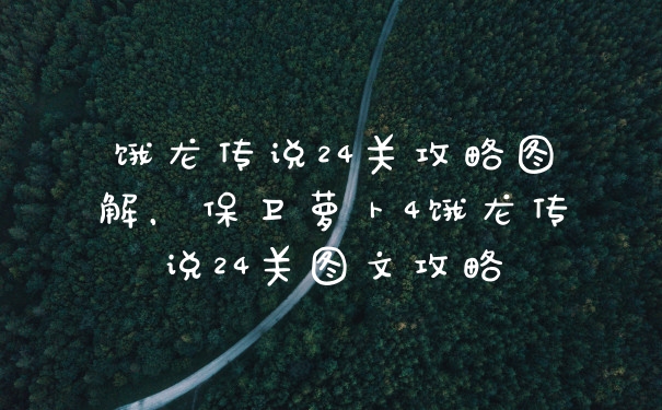 饿龙传说24关攻略图解，保卫萝卜4饿龙传说24关图文攻略