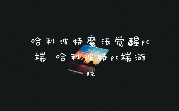 哈利波特魔法觉醒pc端 哈利波特pc端游戏