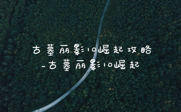古墓丽影10崛起攻略_古墓丽影10崛起