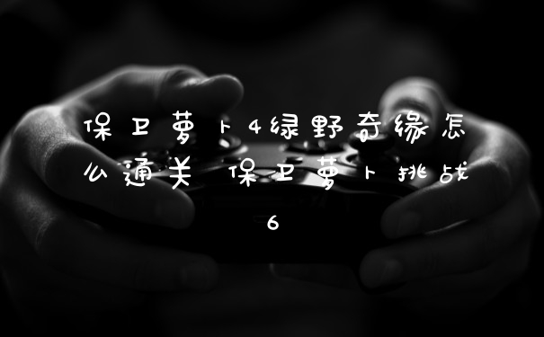保卫萝卜4绿野奇缘怎么通关 保卫萝卜挑战6