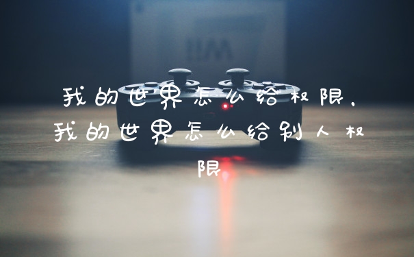 我的世界怎么给权限，我的世界怎么给别人权限