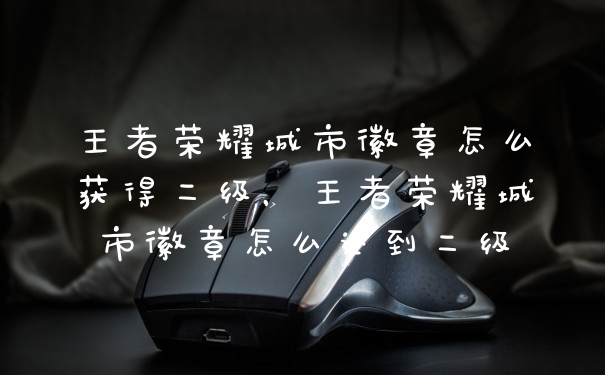 王者荣耀城市徽章怎么获得二级，王者荣耀城市徽章怎么达到二级