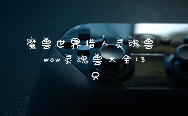 魔兽世界猎人灵魂兽 wow灵魂兽大全13只