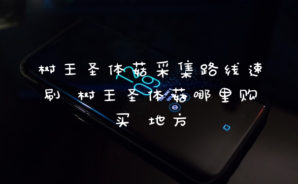 树王圣体菇采集路线速刷 树王圣体菇哪里购买 地方