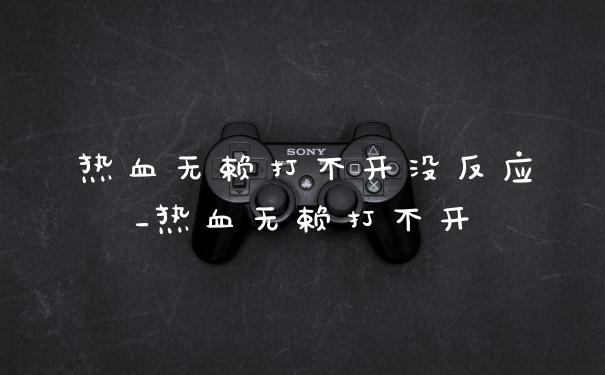 热血无赖打不开没反应_热血无赖打不开