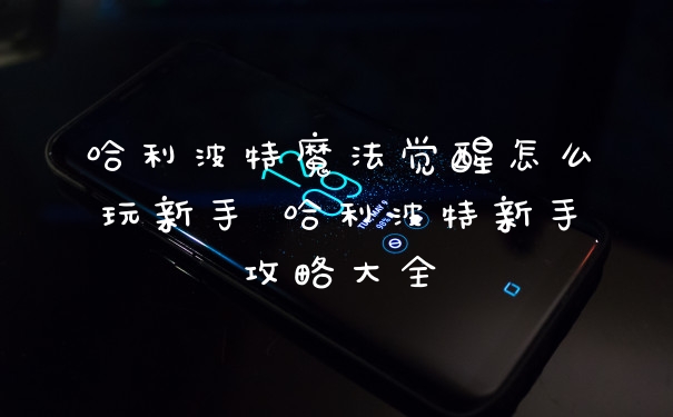 哈利波特魔法觉醒怎么玩新手 哈利波特新手攻略大全