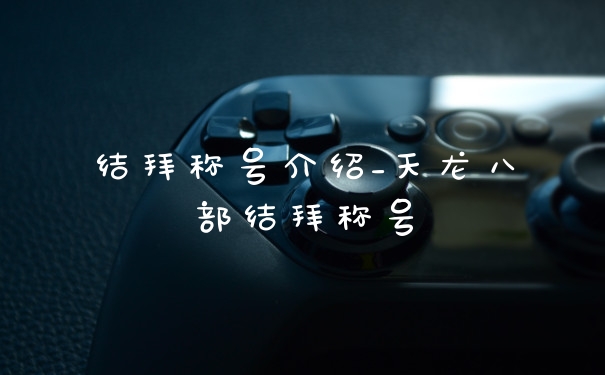 结拜称号介绍_天龙八部结拜称号
