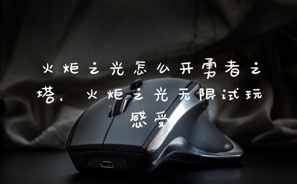 火炬之光怎么开勇者之塔，火炬之光无限试玩感受