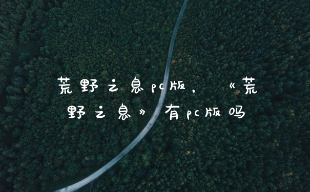 荒野之息pc版，《荒野之息》有pc版吗