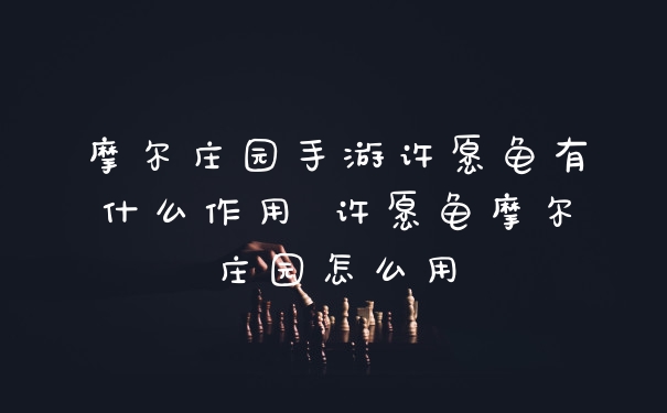 摩尔庄园手游许愿龟有什么作用 许愿龟摩尔庄园怎么用