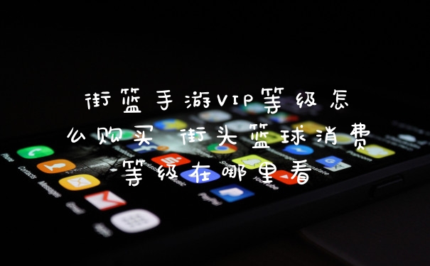 街篮手游VIP等级怎么购买 街头篮球消费等级在哪里看