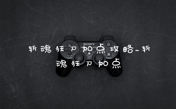 斩魂狂刀加点攻略_斩魂狂刀加点