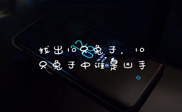 找出10只兔子，10只兔子中谁是凶手