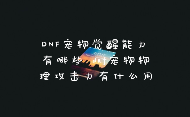 DNF宠物觉醒能力値有哪些 dnf宠物物理攻击力有什么用