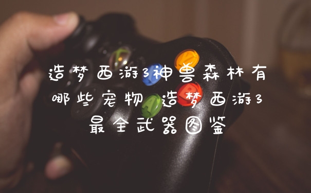 造梦西游3神兽森林有哪些宠物 造梦西游3最全武器图鉴