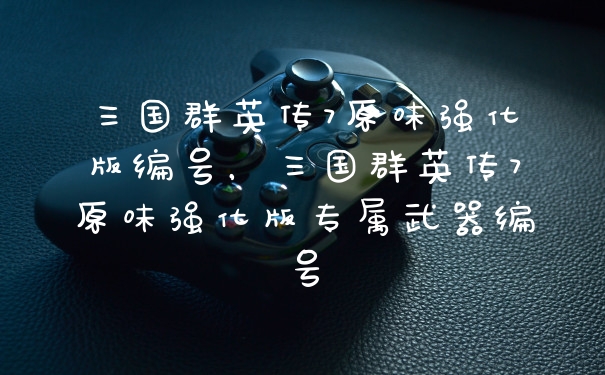 三国群英传7原味强化版编号，三国群英传7原味强化版专属武器编号