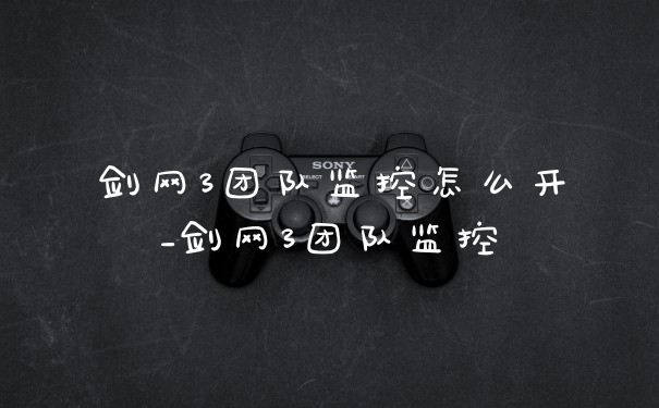 剑网3团队监控怎么开_剑网3团队监控