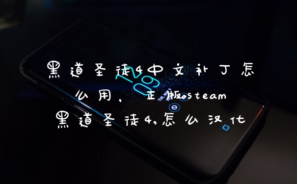 黑道圣徒4中文补丁怎么用,正版steam黑道圣徒4,怎么汉化