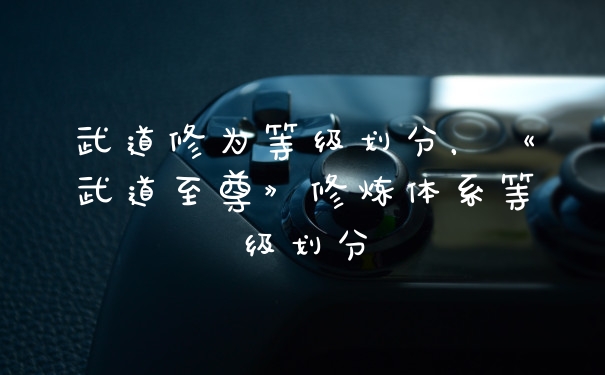武道修为等级划分，《武道至尊》修炼体系等级划分