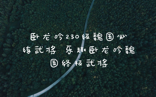卧龙吟230级魏国必练武将 乐趣卧龙吟魏国终极武将