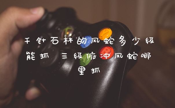 千针石林的风蛇多少级能抓 三级俯冲风蛇哪里抓