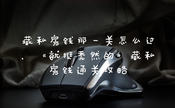 藏私房钱那一关怎么过，《就挺秃然的》藏私房钱通关攻略