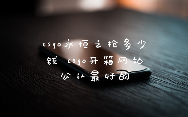csgo永恒之枪多少钱 csgo开箱网站公认最好的