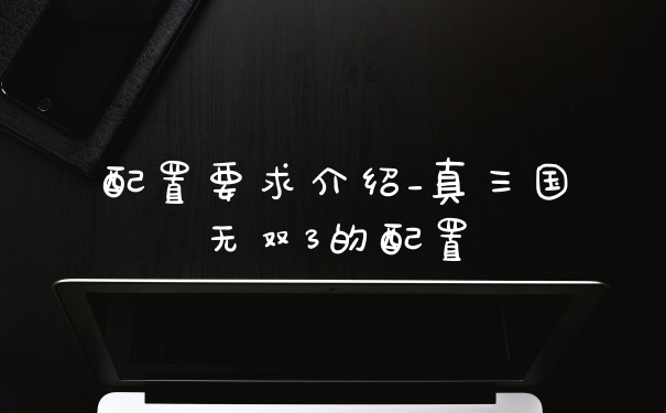 配置要求介绍_真三国无双3的配置