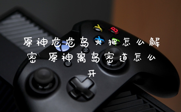 原神危危岛火把怎么解密 原神离岛密道怎么开