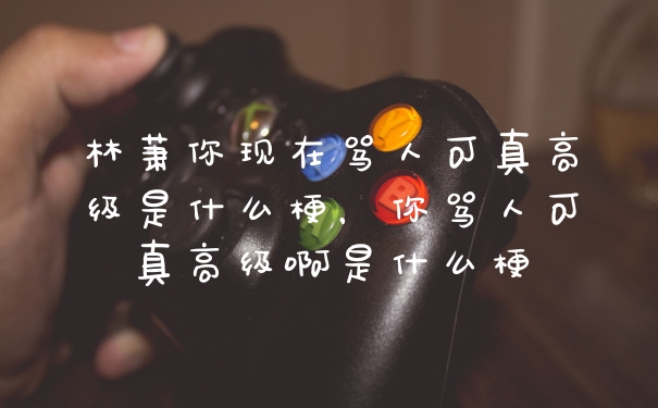 林萧你现在骂人可真高级是什么梗，你骂人可真高级啊是什么梗