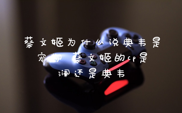 蔡文姬为什么说典韦是宠物 蔡文姬的cp是澜还是典韦
