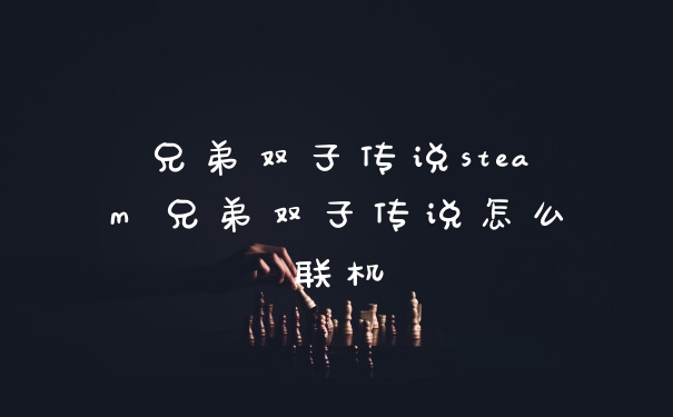 兄弟双子传说steam 兄弟双子传说怎么联机