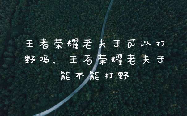 王者荣耀老夫子可以打野吗，王者荣耀老夫子能不能打野