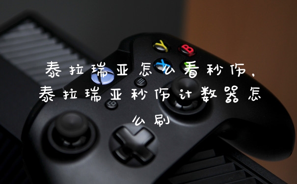 泰拉瑞亚怎么看秒伤,泰拉瑞亚秒伤计数器怎么刷