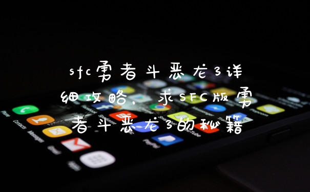 sfc勇者斗恶龙3详细攻略，求SFC版勇者斗恶龙3的秘籍