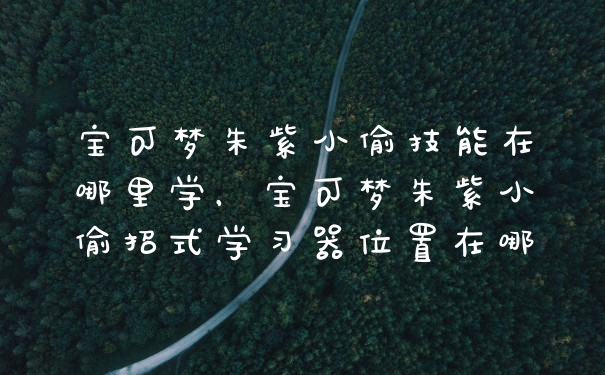 宝可梦朱紫小偷技能在哪里学，宝可梦朱紫小偷招式学习器位置在哪