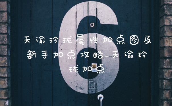 天谕玲珑属性加点图及新手加点攻略_天谕玲珑加点