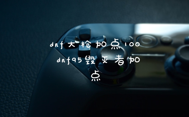 dnf大枪加点100 dnf95毁灭者加点