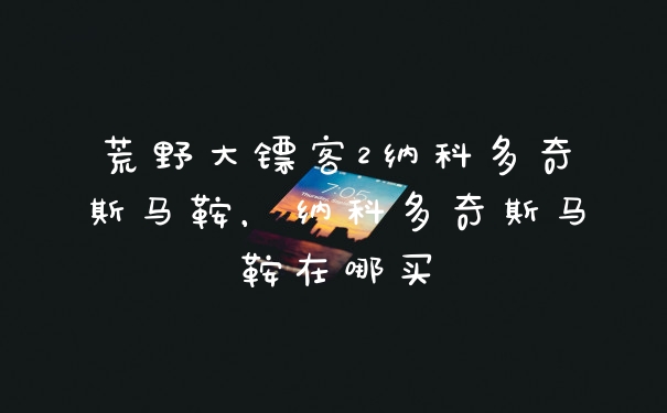 荒野大镖客2纳科多奇斯马鞍，纳科多奇斯马鞍在哪买